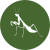 Mantodea - Modlivky