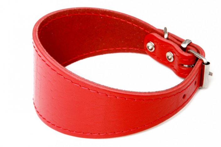 Leather collar for greyhounds, smooth  60mm x 47cm