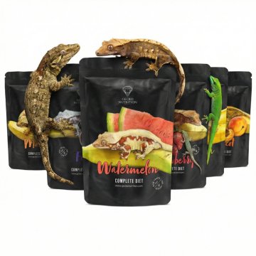 Gecko Nutrition: krmivo pro plodožravé gekony