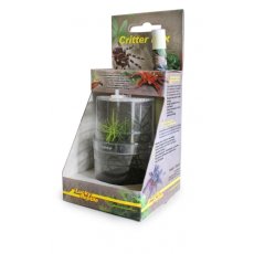 Lucky Reptile Critter Box