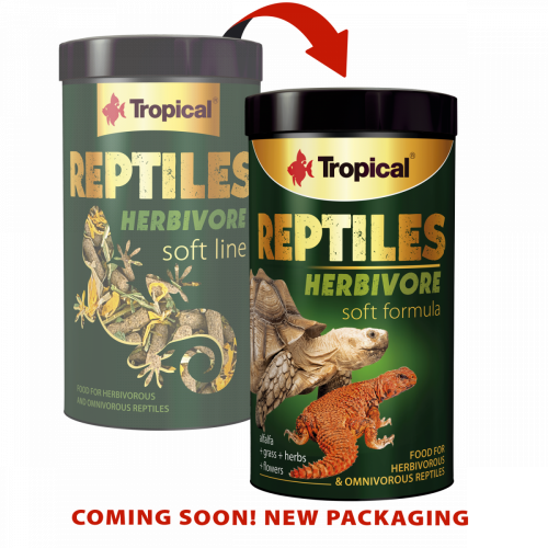 Tropical Reptiles Soft Herbivore