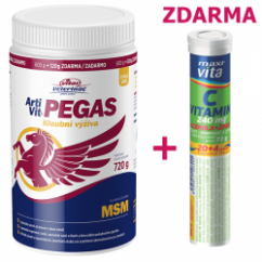 Vitar Pegas MSM 720g + Vitamín C zdarma
