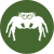 Salticidae - Skákavky