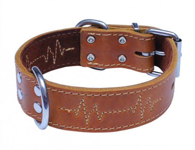 EKG collar made of oiled leather 40mm x 75cm