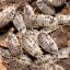 Porcellio laevis - Dairy cow