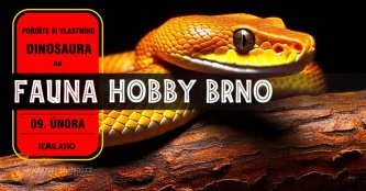 Fauna Hobby Brno 09. 12. 2024
