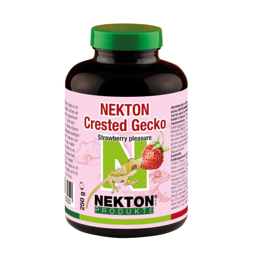 Nekton Crested Gecko -  Strawberry