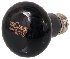 REPTI PLANET Moonlight NIGHT HEAT