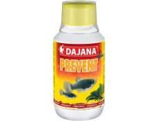 Dajana Prevent