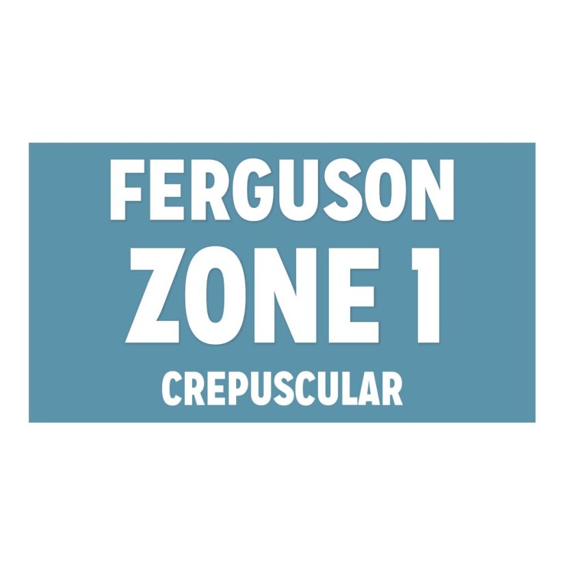 Reptile Systems T5 Zone 1