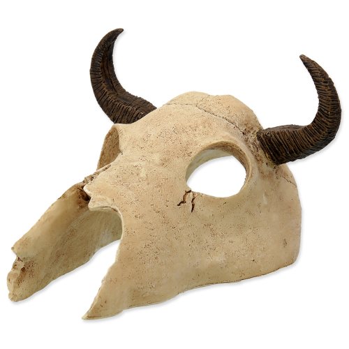 Decoration REPTI PLANET Buffalo skull 12.5 cm