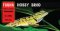 Fauna Hobby Brno 04. 01. 2026