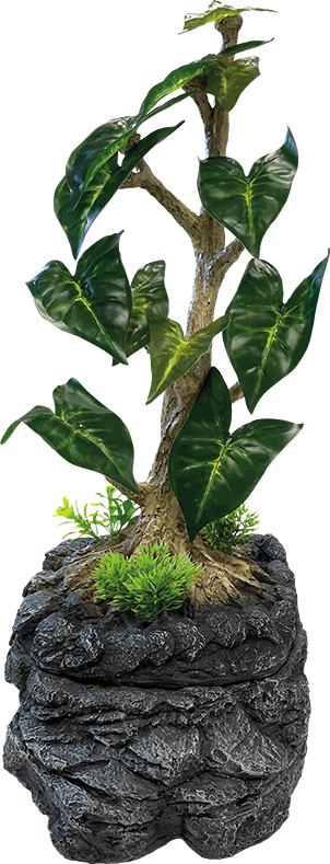 Repto Water Dripping Tree