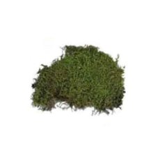 Lucky Reptile Vivarium Moss 150g