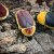 Pachnoda marginata peregrina - Aberrant