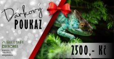 Darčekový poukaz v hodnote 2500 Kč