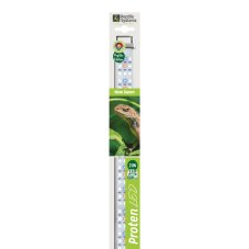 Reptile Systems Proten New Dawn