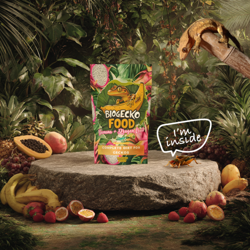 BioGecko Food Banana & Dragon Fruit – 100g
