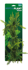 Repto Plant Vines Green Asparagus 60 cm