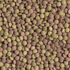 Tetra Tablets TabiMin 120 tabliet