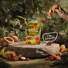 BioGecko Food Banana & Papaya – 100g