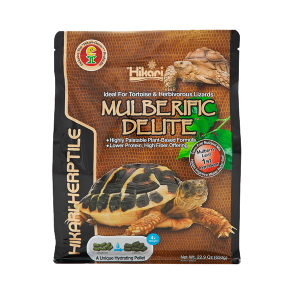Hikari Turtle Mulberfic