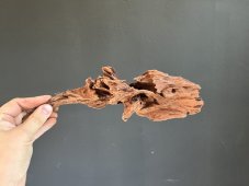 Drift Wood - různé velikosti