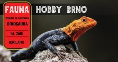 Fauna Hobby Brno 14. 09. 2024