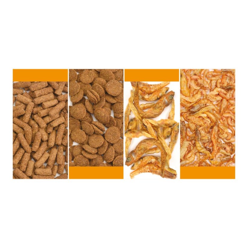 Reptile Systems Turtle Mix 125 g / 500 ml