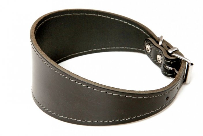 Leather collar for greyhounds, smooth  60mm x 47cm