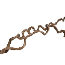 Back Zoo Nature Crazy Wrapped Liana 60-70 cm