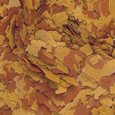 Tropical Vitality color flake
