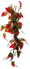Repto Plant Vines Pink Green Syngonium 60 cm