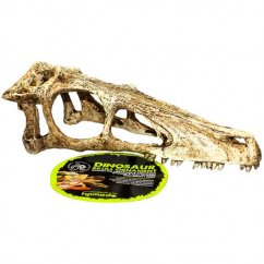 Dekorace umělá - lebka Raptor L Komodo 17x6x7cm