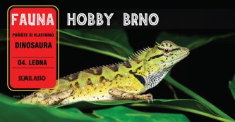 Fauna Hobby Brno 04. 01. 2026