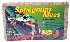 Lucky Reptile Sphagnum Moss