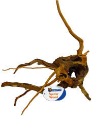 BioArt Spider Wood S 20 - 30 cm