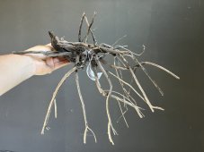 Black spider wood - různé velikosti