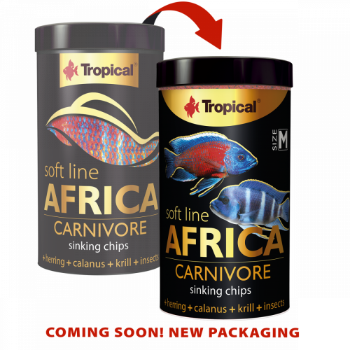 Tropical soft Line Africa Carnivore