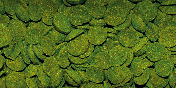 Dajana Spirulina Wafers 1 kg