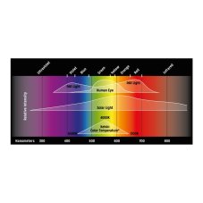 Reptile Systems Proten New Dawn