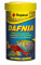 Tropical Dafnia