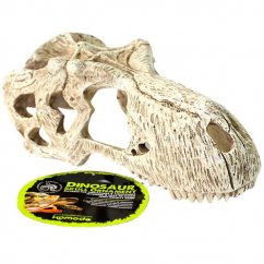 Dekorace umělá - lebka T-Rex S Komodo 15x8x8cm