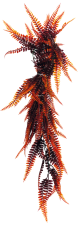 Repto Plant Vines Orange Fern 60 cm