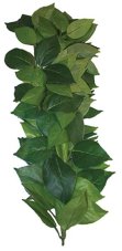 Dekorace umělá rostlina - popínavá Ficus Komodo