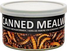 UGF sušený moučný červ konzerva 35g