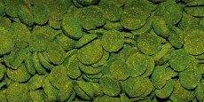 Dajana Spirulina Wafers 1 kg