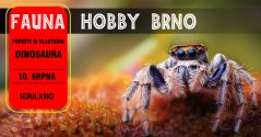 Fauna Hobby Brno 10. 08. 2024