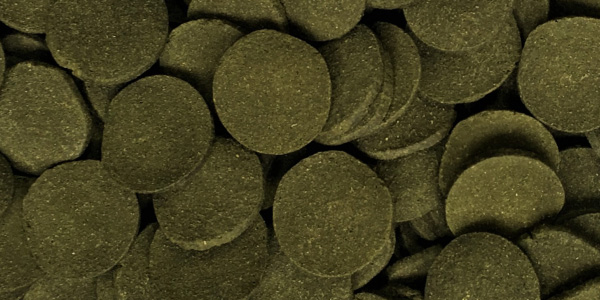 Dajana Spirulina Wafers 1 000 ml