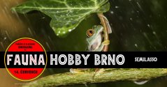Fauna Hobby Brno  14. 07.  2024